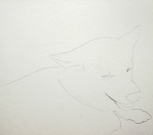 犬 を描こう 鉛筆デッサン編 どこでも絵画教室 絵の描き方動画 オンライン講座