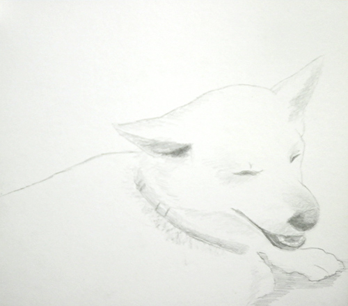 犬」を描こう～鉛筆デッサン編～ - どこでも絵画教室＜無料動画で学ぶ