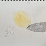 「レモンのスケッチ」ひーろ