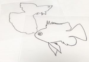 クリアファイルに!おさかなを描こう 線画