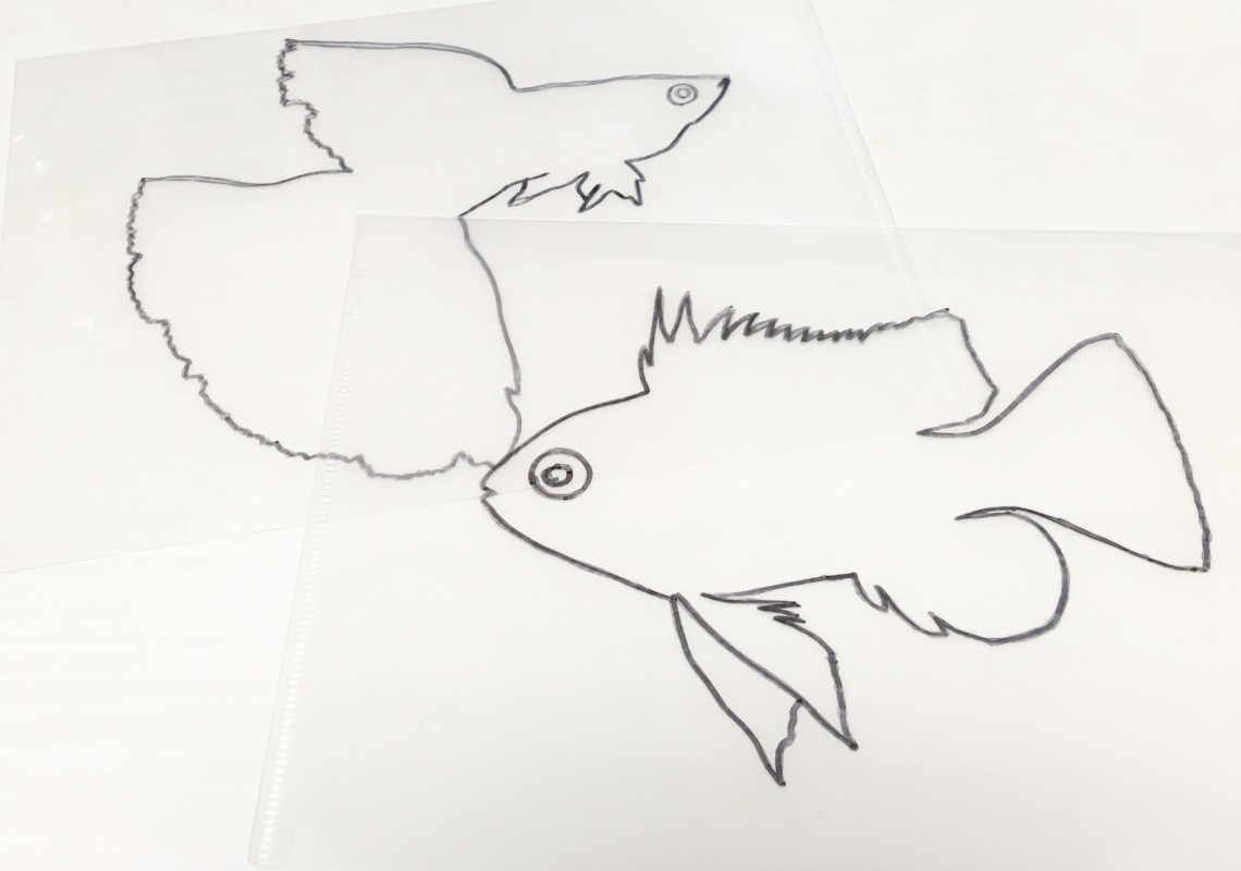 クリアファイルに!おさかなを描こう どこでも絵画教室<絵の描き方動画/オンライン講座> クリアファイルに!おさかなを描こう どこでも絵画教室<絵の描き方動画/オンライン講座>