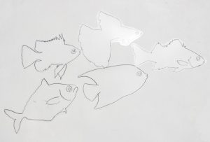 クリアファイルに!おさかなを描こう 線画