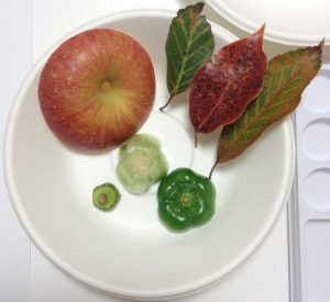 お野菜の捨てるところや葉っぱで野菜スタンプ