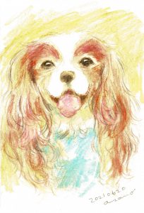 犬を描こう水彩色鉛筆（キャバリア）