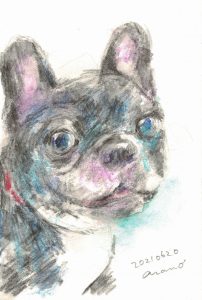 犬を描こう水彩色鉛筆（フレンチブルドッグ）