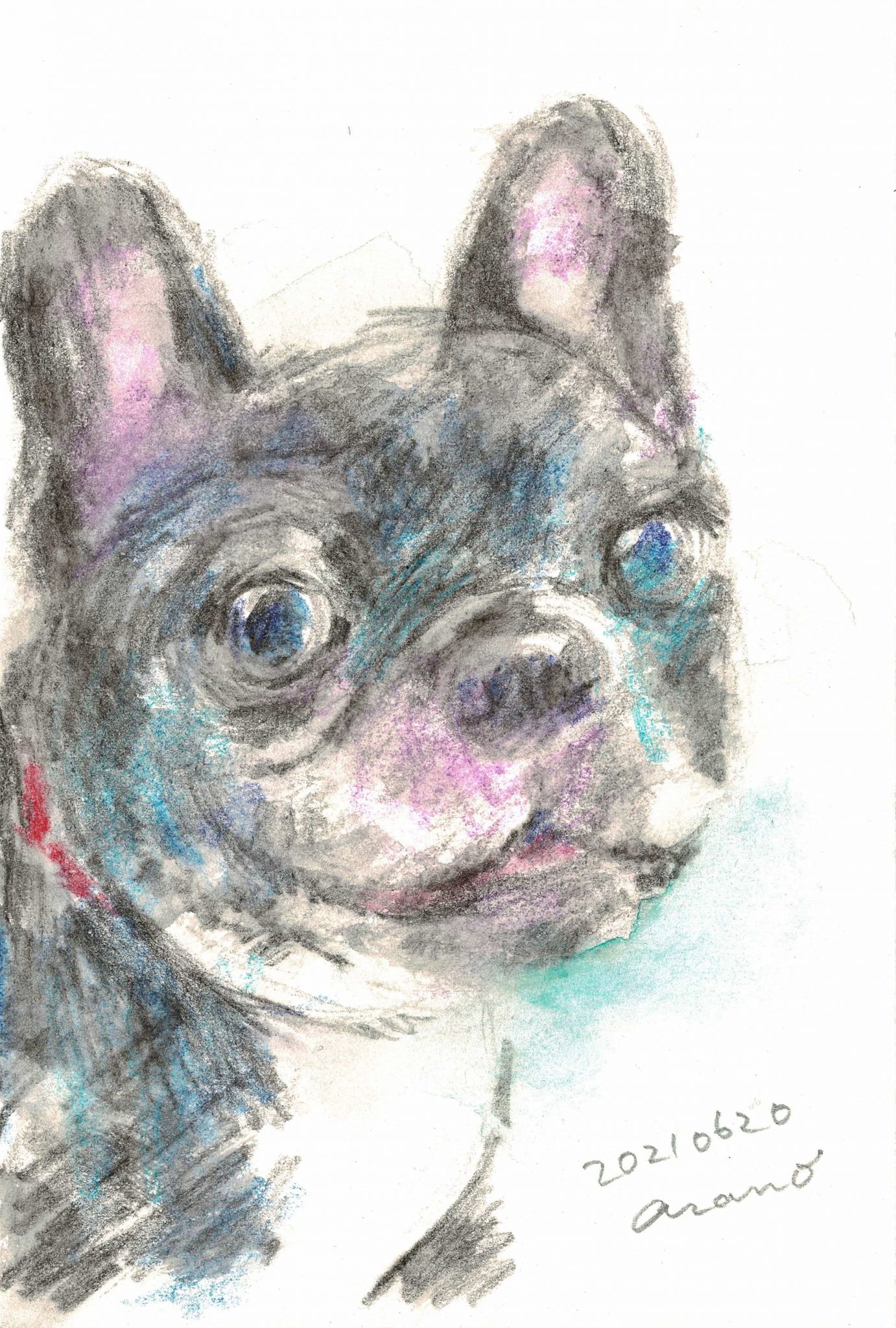 犬 を描こう 前半 形のコツ 水彩色鉛筆編 どこでも絵画教室