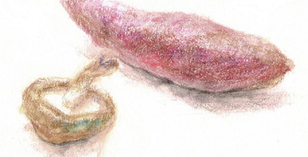 メイキング　ドライ（2）さつまいも・しいたけの描き方（水彩色鉛筆）