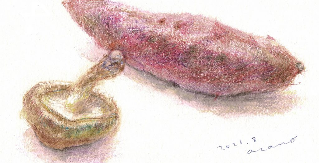 さつまいも・しいたけの描き方（水彩色鉛筆）