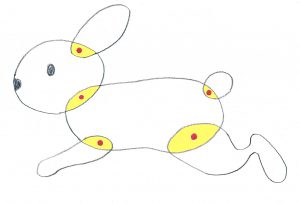 うごく紙人形（動物）の設計図