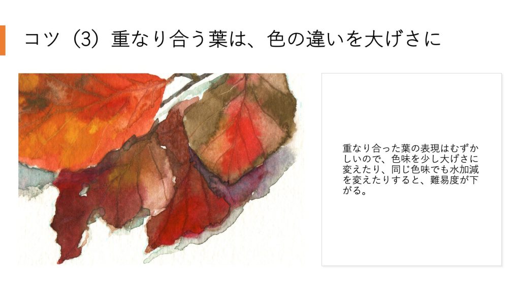 コツ(3)重なり合う葉は、色の違いを大げさに。重なり合った葉の表現はむずかしいので、色味を少し大げさに変えたり、同じ色味でも水加減を変えたりすると、難易度が下がる。