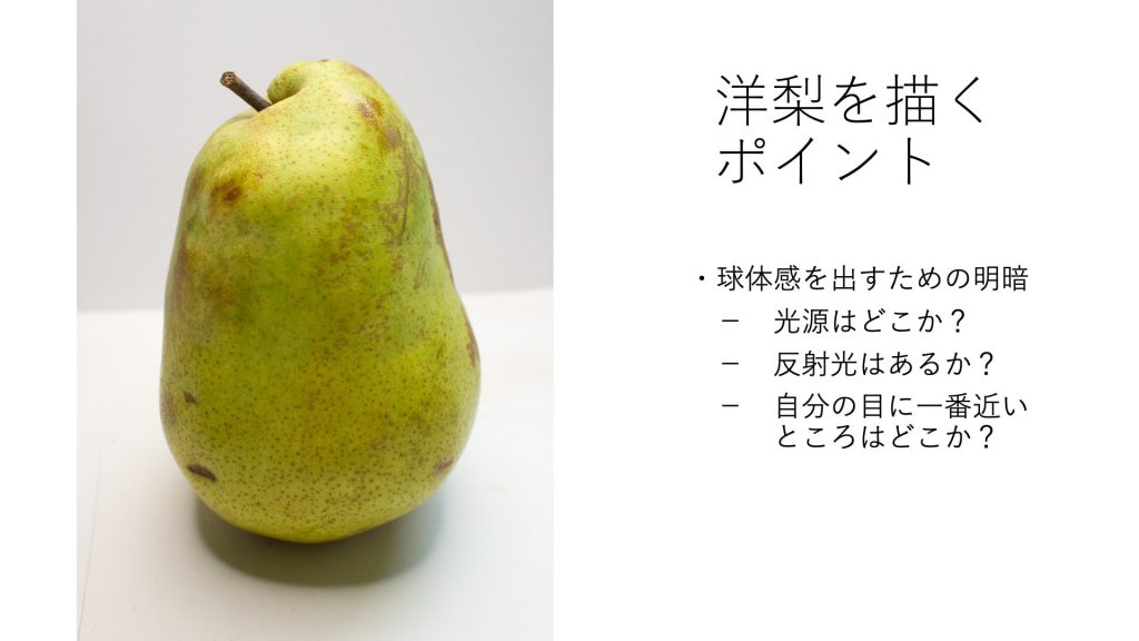 洋梨を描くポイント・球体感を出すための明暗 　－　光源はどこか？ 　－　反射光はあるか？ 　－　自分の目に一番近いところはどこか？