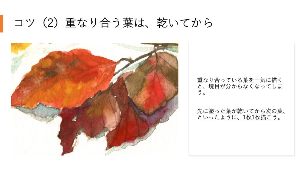 コツ(2)重なり合う葉は、乾いてから。重なり合っている葉を一気に描くと、境目が分からなくなってしまう。先に塗った葉が乾いてから次の葉、といったように、1枚1枚描こう。