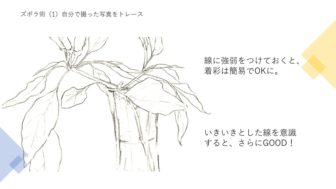 線に強弱をつけておくと、 着彩は簡易でOKに。いきいきとした線を意識 すると、さらにGOOD！