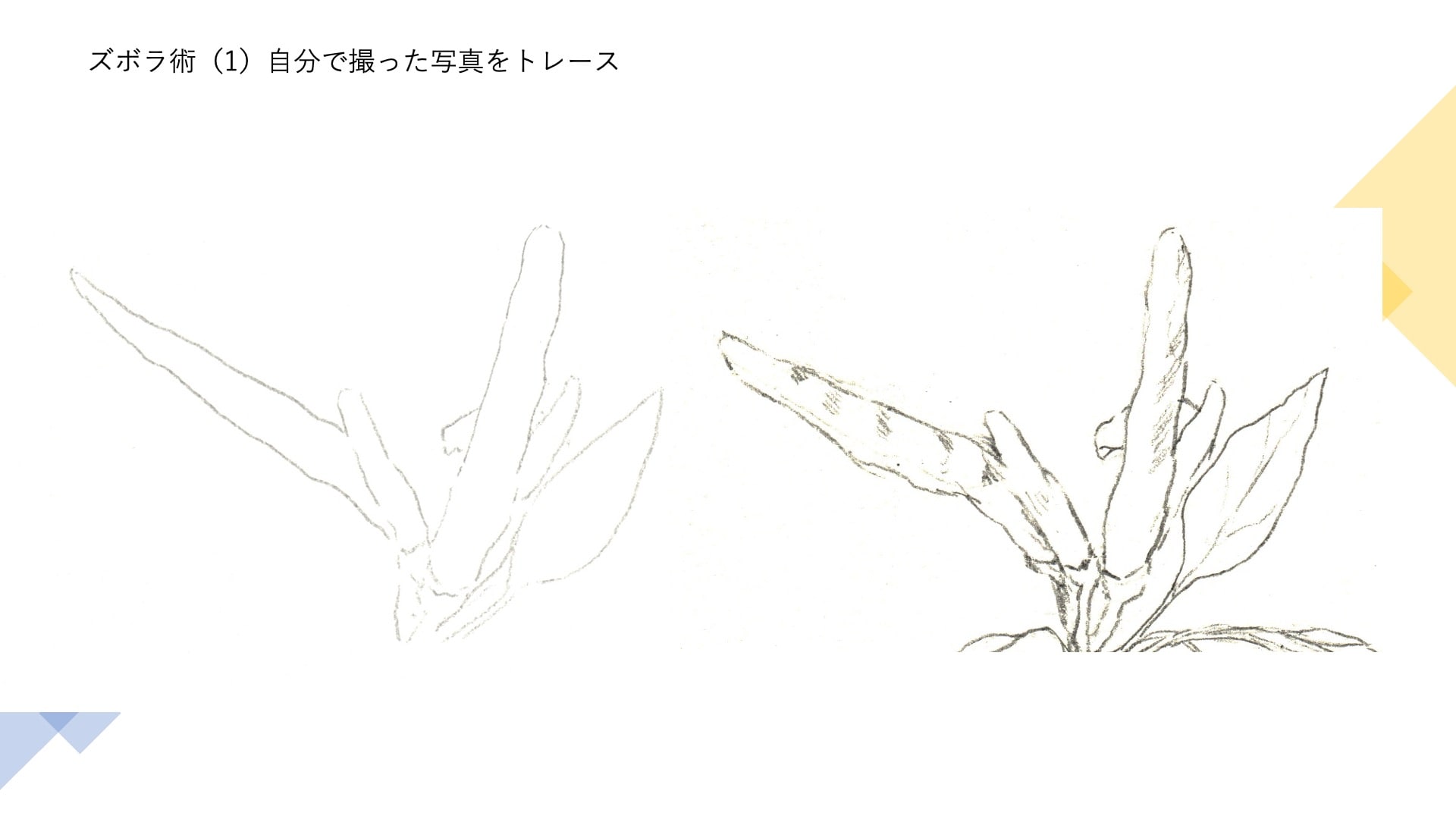 自分で撮った写真をトレース