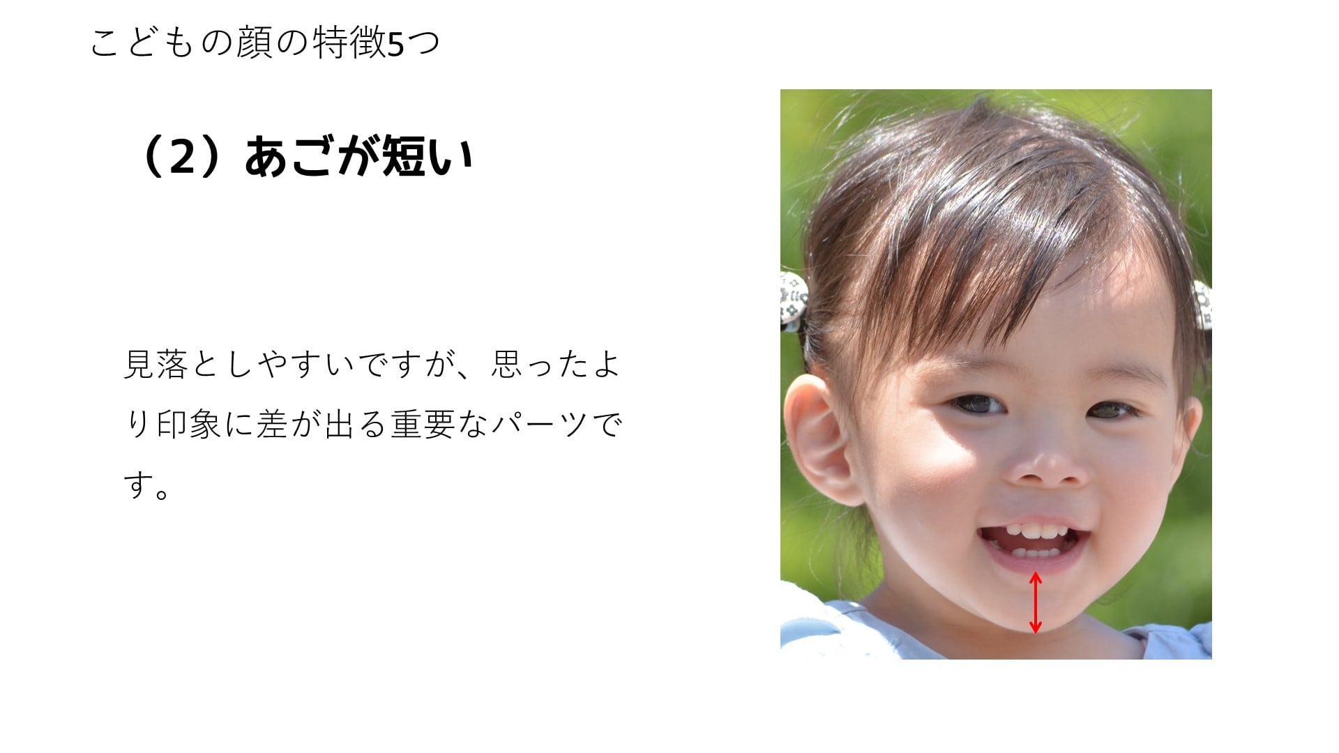 見落としやすいですが、思ったより印象に差が出る重要なパーツです。