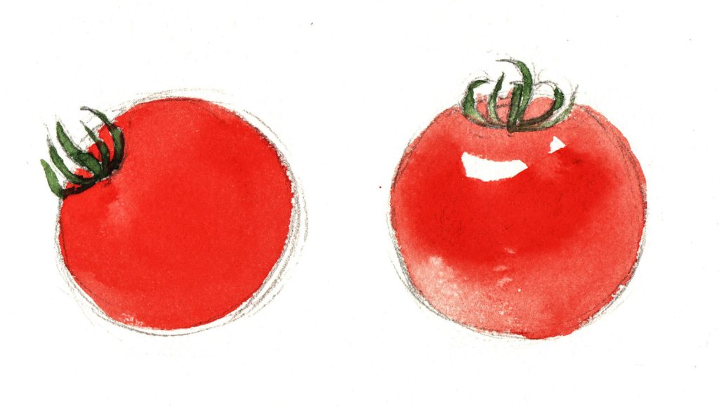 透明水彩でプチトマトの絵