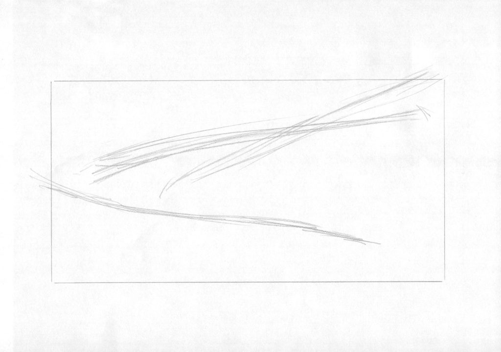 水彩色鉛筆でアスパラガス「下書き1」