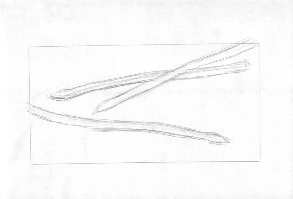 水彩色鉛筆でアスパラガス「下書き2」