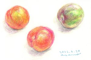 水彩色鉛筆で「すもも」の絵の書き方