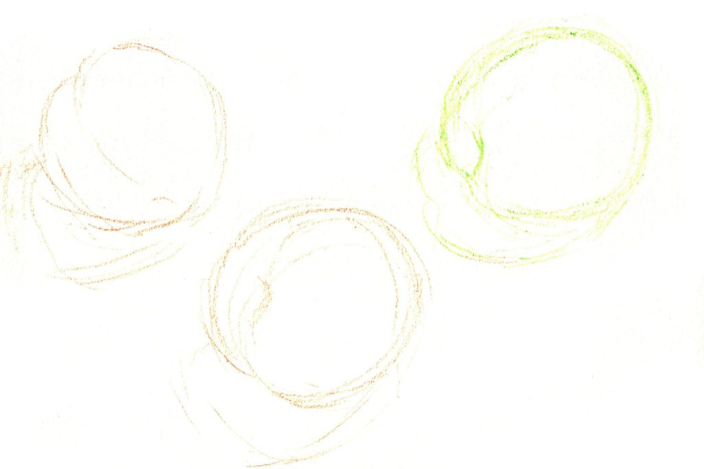 水彩色鉛筆で「すもも」の絵の書き方（手順1：下書き）