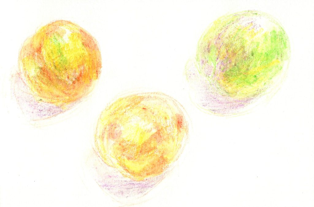 水彩色鉛筆で「すもも」の絵の書き方（手順4：ウェットして一度乾かしたところ）