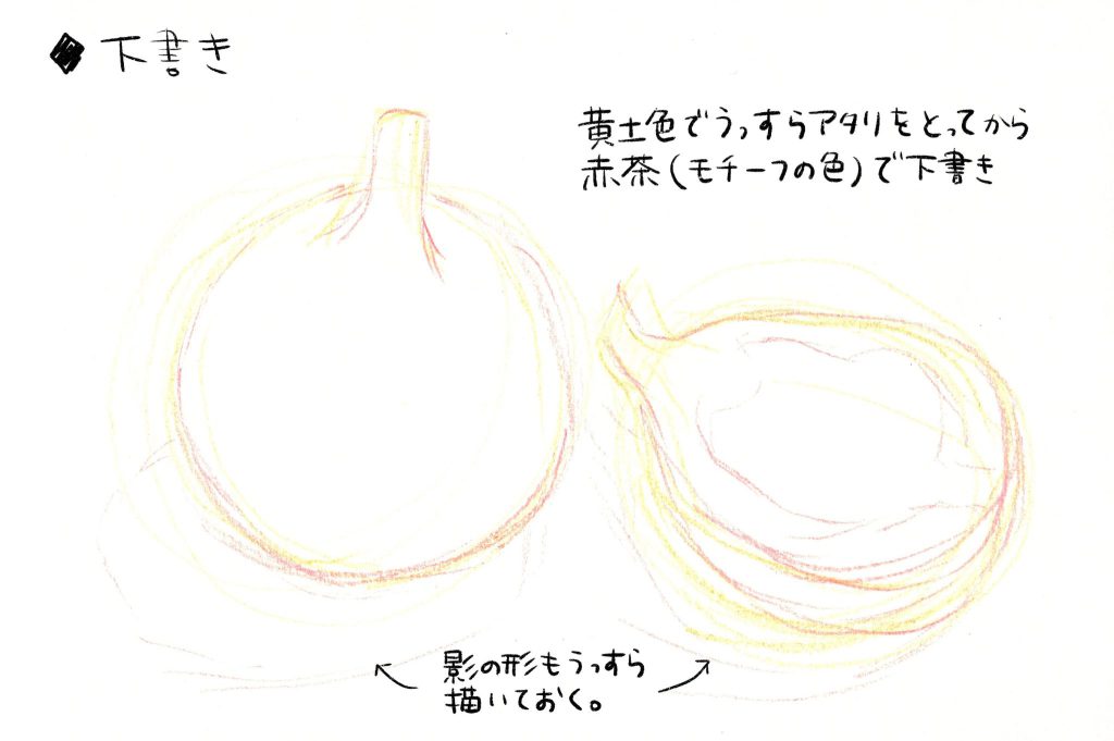 水彩色鉛筆で「いちじく」の絵の描き方。(1)下書き