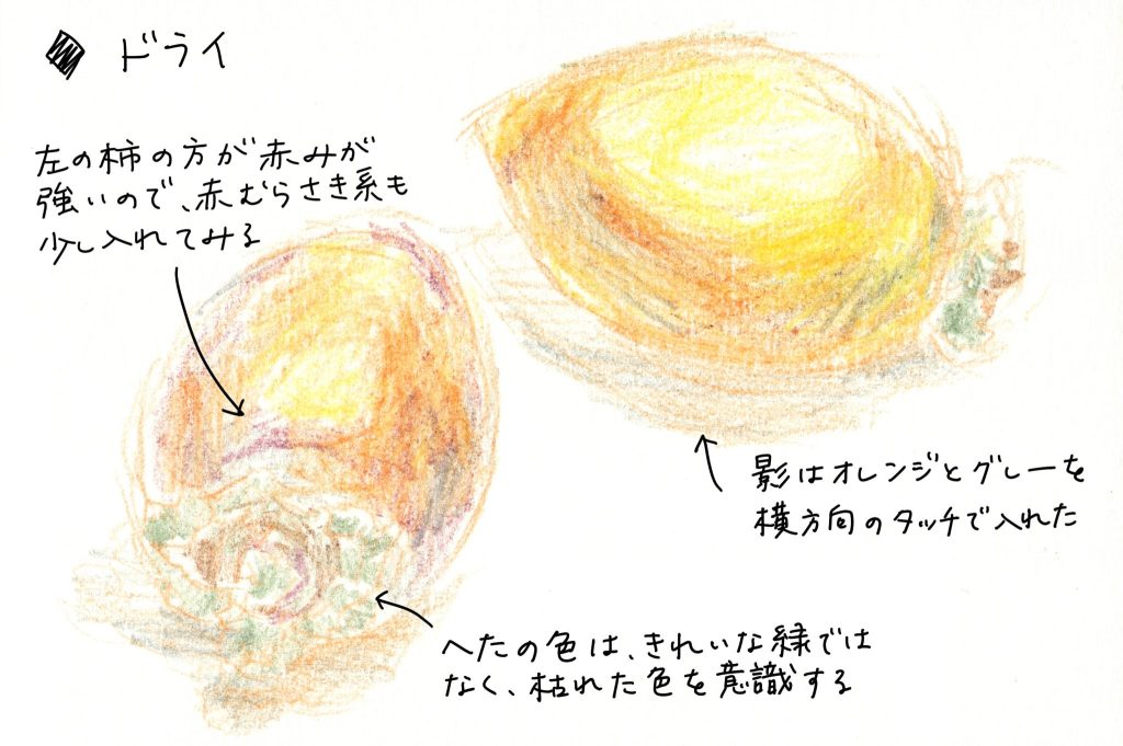 水彩色鉛筆で「柿（筆柿、珍宝柿）」の絵のドライ（1）左の柿の方が赤みが強いので、赤紫系の色も少し入れてみる。影はオレンジとグレーを横方向のタッチで入れた。ヘタの色は、きれいな緑色ではなく、枯れた色を意識する。