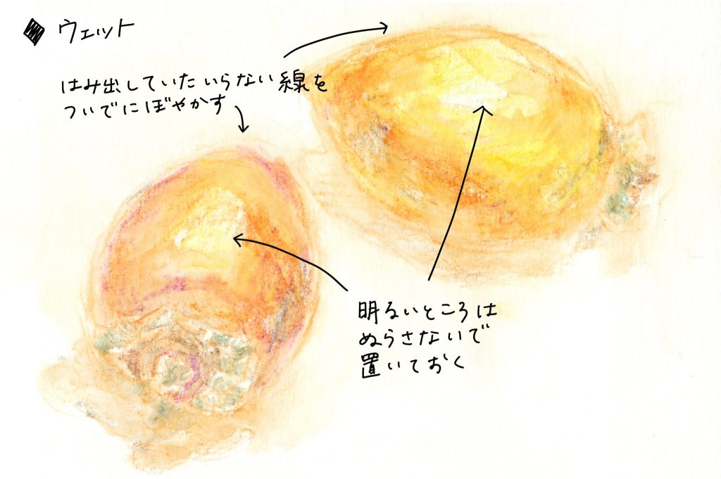 水彩色鉛筆で「柿（筆柿、珍宝柿）」の絵のウェット。はみ出していたいらない線をついでにぼやかす。明るいところはぬらさないで置いておく。
