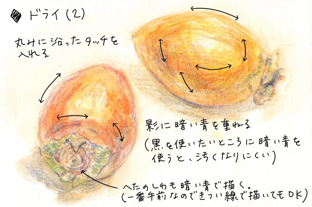 水彩色鉛筆で「柿（筆柿、珍宝柿）」の絵のドライ（2）丸みに沿ったタッチを入れる。影に暗い青を重ねる（黒を使いたいところに暗い青を使うと、汚くなりにくい）へたのしわも暗い青で描く。（一番手前なのできつい線で描いてもOK）