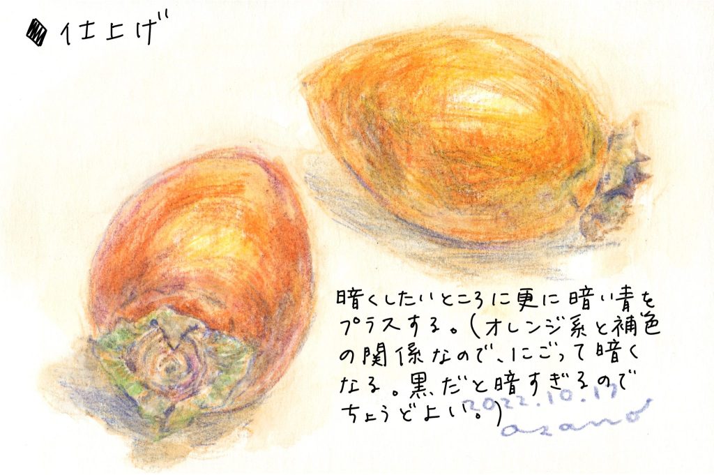 水彩色鉛筆で「柿（筆柿、珍宝柿）」の絵の仕上げ。暗くしたいところに更に暗い青をプラスする（オレンジ系とは補色の関係なので、にごって暗くなる。黒だと暗すぎるのでちょうどよい。）